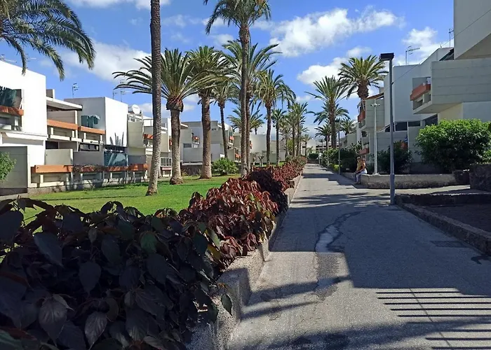 Apartamento In The South Of Tenerife In The Costa del Silencio