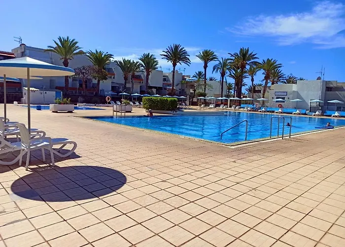 In The South Of Tenerife In The Apartamento Costa del Silencio