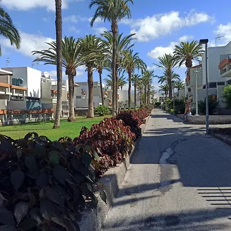 아파트 In The South Of Tenerife In The 코스타델실렌시오